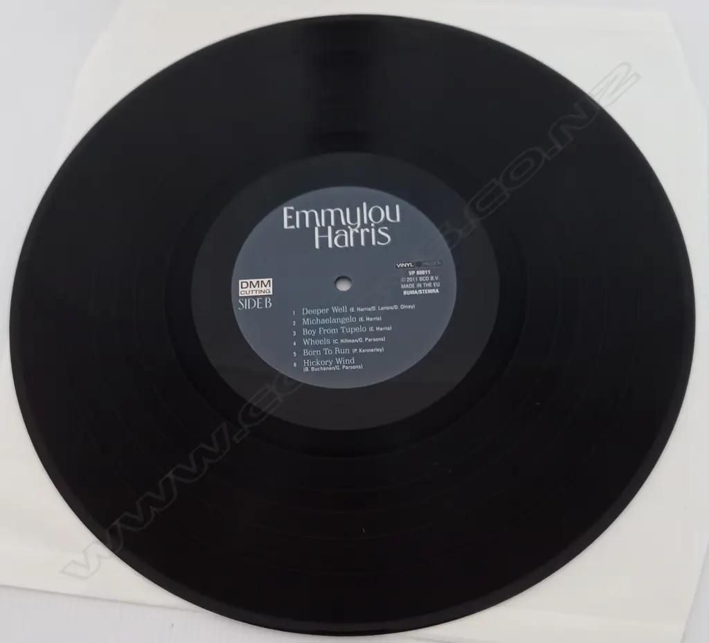 Emmylou Harris With Spyboy Featuring Buddy Miller, Live In Germany 2000 Image 1++